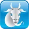 Capricorn