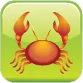 Astrogini Zodiac Signs - Cancer